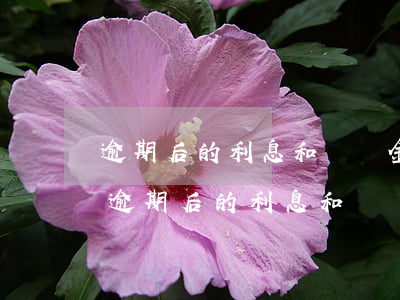 逾期后的利息和違約金是否重復(fù)-逾期后的利息和違約金是否重復(fù)收取