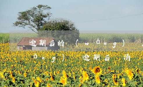 逾期后的網(wǎng)貸怎么還-網(wǎng)貸逾期后還清