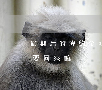 逾期后的違約金可以要回來嗎 逾期違約金能要回來嘛