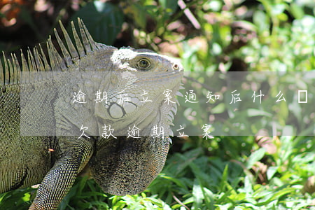 逾期后立案通知后什么時(shí)間開庭(欠款逾期立案)