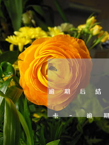 逾期后結(jié)清多久能重新審批信用卡-逾期后結(jié)清多久能重新審批信用卡業(yè)務(wù)
