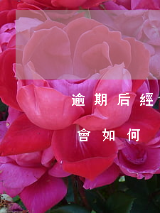 逾期后經(jīng)歷什么樣的流程(逾期會如何)