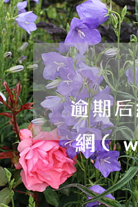 逾期后網(wǎng)貸公司為什么不起訴(網(wǎng)貸逾期了會(huì)不會(huì)起訴)