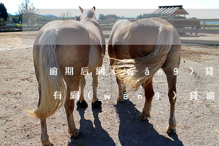 逾期后網(wǎng)貸加微信好友通過嗎(有網(wǎng)貸逾期的朋友嗎)