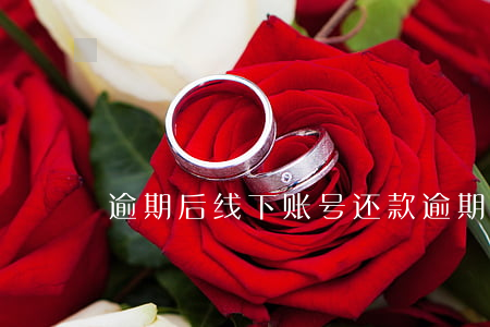 逾期后线下账号还款(逾期后线下账号还款)