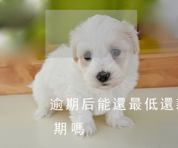 逾期后能還最低還款嗎(還了最低還款還算逾期嗎)