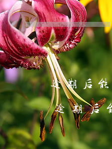 逾期后能開展證券業(yè)務(wù)嗎(逾期后能開展證券業(yè)務(wù)嗎)
