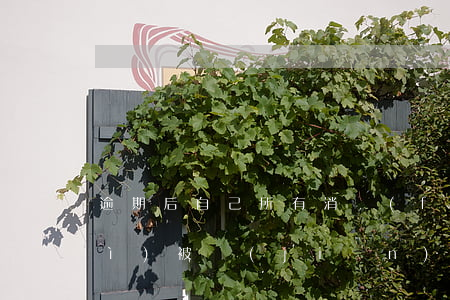 逾期后自己所有消費(fèi)都會(huì)被監(jiān)控嗎-逾期后自己所有消費(fèi)都會(huì)被監(jiān)控嗎知乎