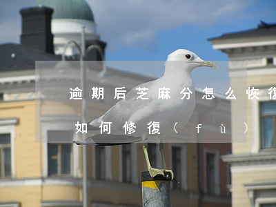 逾期后芝麻分怎么恢復(fù)-芝麻逾期如何修復(fù)