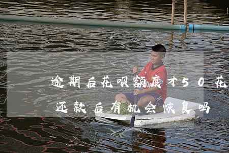 逾期后花呗额度才50(花呗逾期额度不能用还款后有机会恢复吗?)
