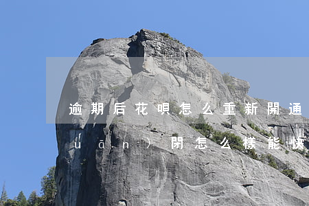 逾期后花唄怎么重新開通(花唄逾期被關(guān)閉怎么樣能快點(diǎn)再次開通啊)
