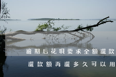 逾期后花唄要求全額還款(花唄逾期后還最低還款額再還多久可以用)