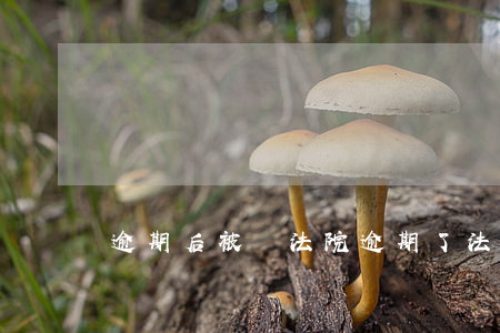 逾期后被傳法院(逾期了法院判決后的結果)