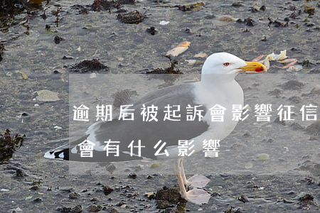 逾期后被起訴會影響征信嗎(征信報告有逾期會有什么影響)