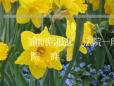 逾期后被起訴法院一般會讓怎么還(逾期上法院會咋樣)