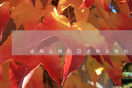 逾期后被起訴(逾期后被起訴還清可以撤訴?)