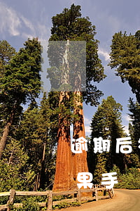 逾期后被起訴還能用蘋果手機(jī)嗎(蘋果手機(jī)被起訴了嗎)