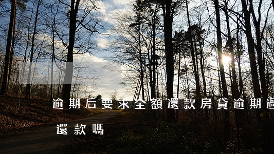 逾期后要求全額還款(房貸逾期過能申請全額還款嗎)
