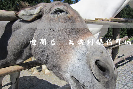 逾期后親友收到短信可以投訴嗎-