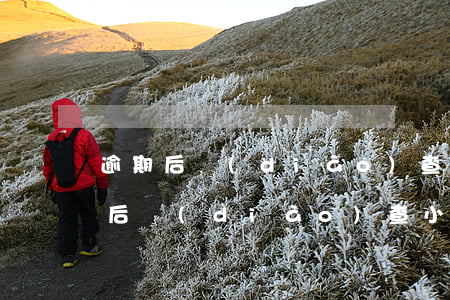 逾期后調(diào)查小組是真的嗎 逾期后調(diào)查小組是真的嗎