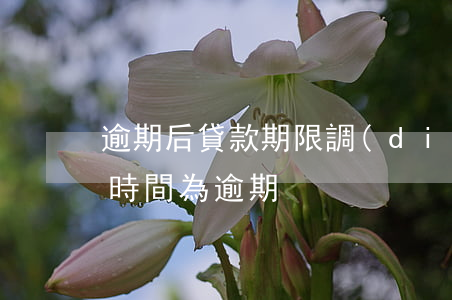 逾期后貸款期限調(diào)整(貸款多長時間為逾期)