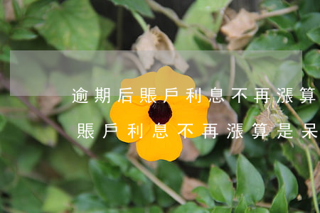 逾期后賬戶利息不再漲算是呆帳嗎-逾期后賬戶利息不再漲算是呆帳嗎怎么辦