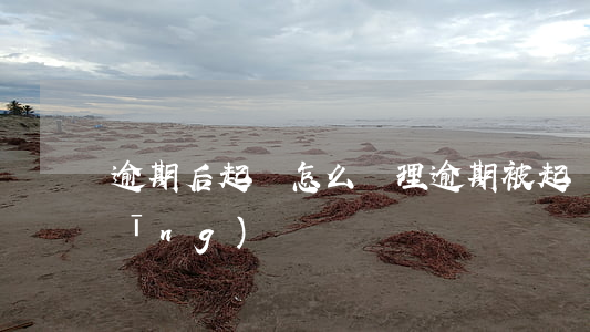 逾期后起訴怎么處理(逾期被起訴如何應(yīng)訴)