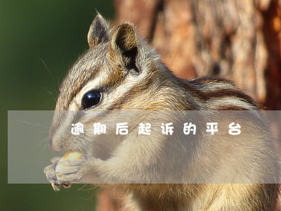 逾期后起诉的平台