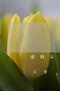 逾期后車子過戶到父母親(起訴前把車過戶給父母)
