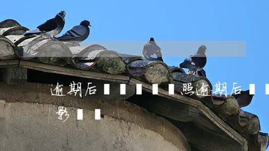 逾期后辦個體營業照(逾期后辦個體營業照有影響嗎)