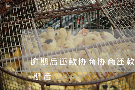 逾期后还款协商(协商还款是在逾期前还是逾期后)