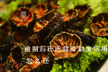 逾期后还还款降额度(信用卡降额,欠款超额度怎么还)