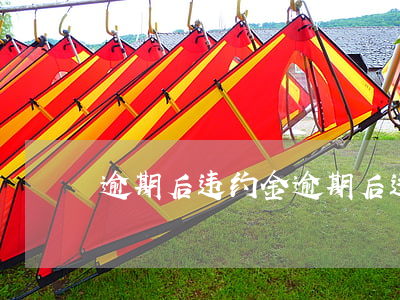 逾期后违约金(逾期后违约金一天多少)