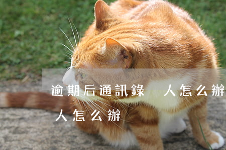 逾期后通訊錄沒人怎么辦-逾期后通訊錄沒人怎么辦