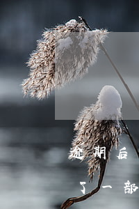 逾期后還了一部分利息會減少嗎-逾期后還了一部分利息會減少嗎怎么辦
