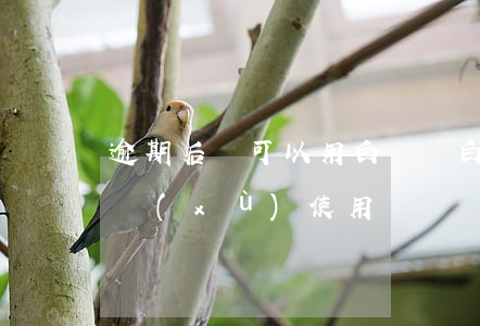 逾期后還可以用白條嗎(白條逾期還了可以繼續(xù)使用嗎)