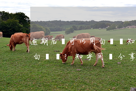 逾期后還可以用白條嗎知乎，逾期后還能使用白條嗎？知乎用戶分享經(jīng)驗與建議