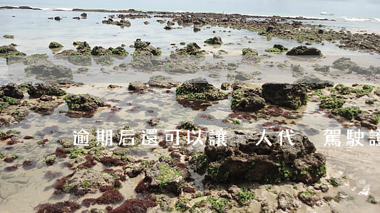 逾期后還可以讓別人代換駕駛證嗎