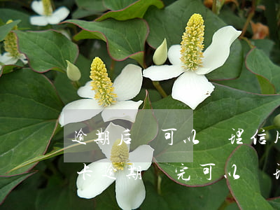 逾期后還可以辦理信用卡（點(diǎn)金卡逾期還完可以辦理信用卡嗎）