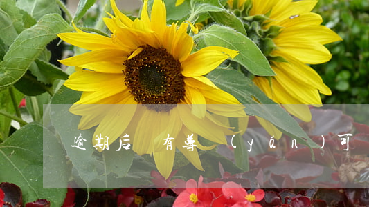 逾期后還有尊嚴(yán)可談嗎