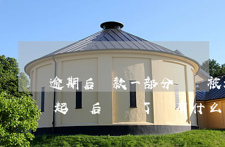 逾期后還款一部分還會被起訴嗎(貸款逾期被起訴后歸還了還有什么影響嗎?)