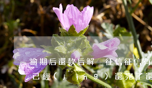 逾期后還款后解決征信(征信有逾期但是貸款已經(jīng)還完了還能貸款嗎)