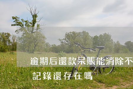 逾期后還款呆賬能消除不(呆賬處理完了,逾期記錄還存在嗎?)