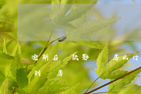 逾期后還款影響買房么(什么樣的逾期會影響到買房)