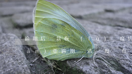 逾期后還款恢復(fù)額度(信用卡嚴(yán)重逾期還清額度還在)