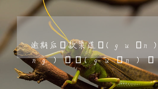 逾期后還款渠道關(guān)閉(網(wǎng)貸關(guān)閉了還款渠道怎么辦)