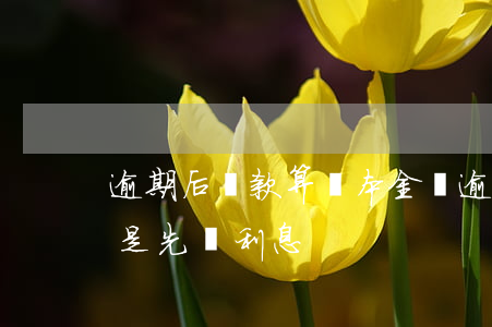 逾期后還款算還本金嗎(逾期貸款先還本金還是先還利息)