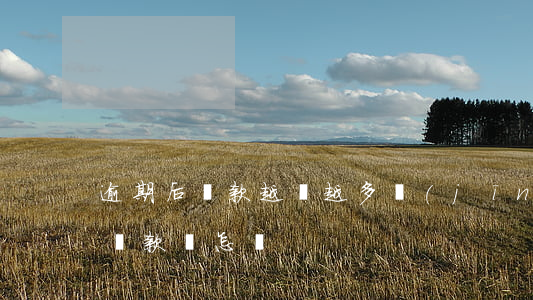 逾期后還款越還越多(經(jīng)常逾期還款會怎樣)