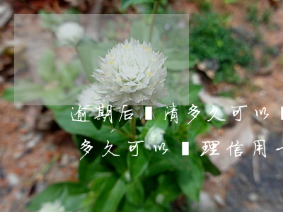 逾期后還清多久可以辦理信用卡 逾期后還清多久可以辦理信用卡