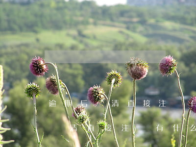 逾期后還清直接注銷有什么后果嗎-逾期后還清直接注銷有什么后果嗎知乎